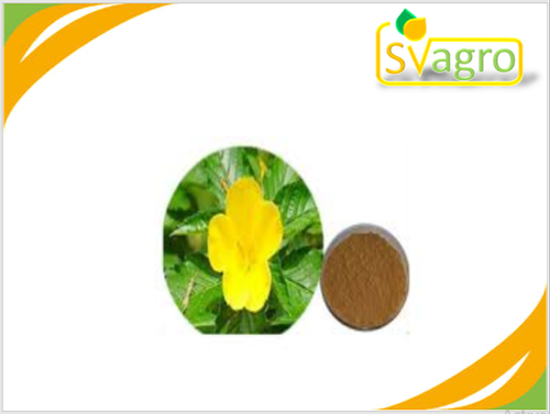 Damiana Extract
