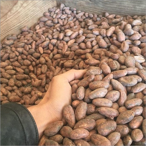 Cocoa Coffee Beans