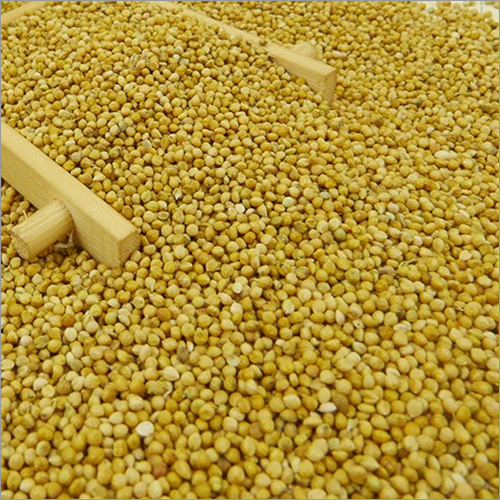 Yellow Millet