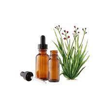 Palmarosa Essential Oil Age Group: All Age Group