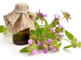 Pennyroyal Essential Oil Age Group: All Age Group