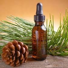 Pine Essential Oil Age Group: All Age Group