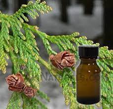 Thuja Essential Oil Age Group: All Age Group