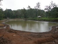Decorative Lake Liner