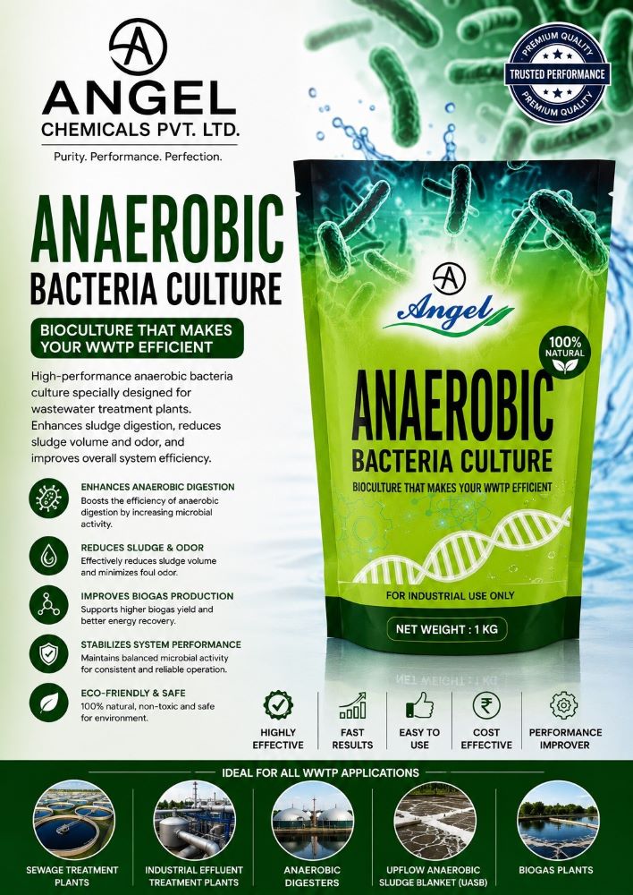 Anaerobic Bacteria Culture