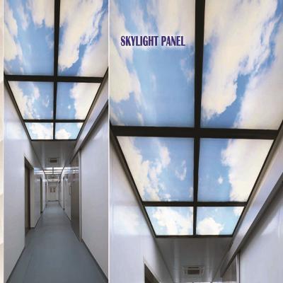 SKYLIGHT PANEL