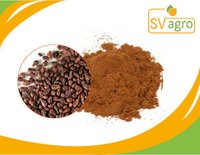 Grape Seed Extract