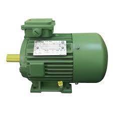 Green Induction Motor