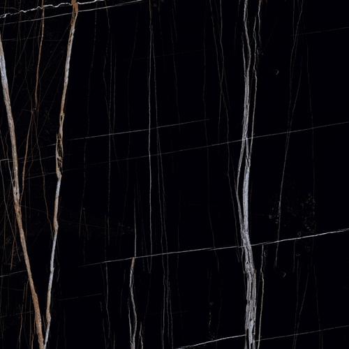 Black Beauty Porcelain Tiles