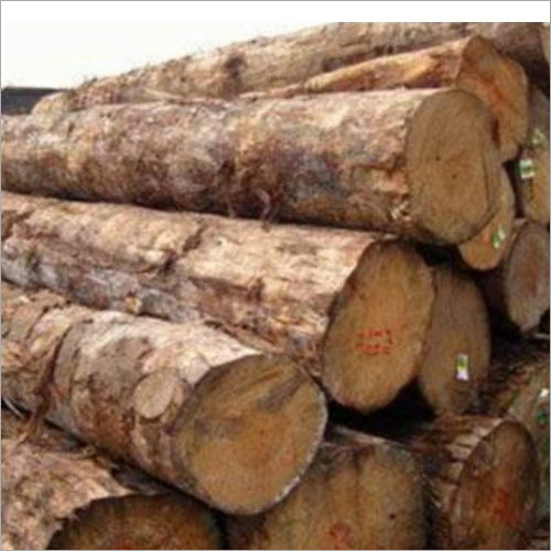 Pine Logs