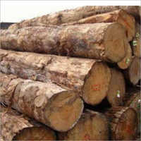Pine Logs