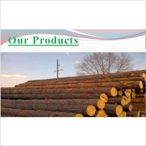 Pine Wood