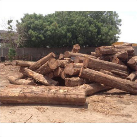 Sudan Round Logs By GUPTA TIMBER TRADER PVT. LTD.