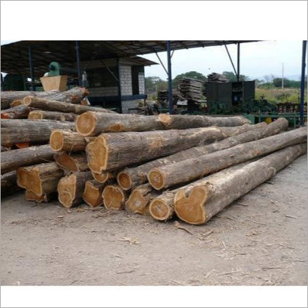Ecuador Teak Logs