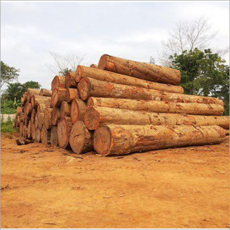 Teak Logs