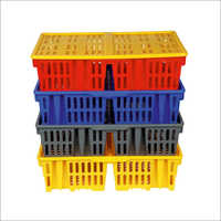 Poultry Chick Box