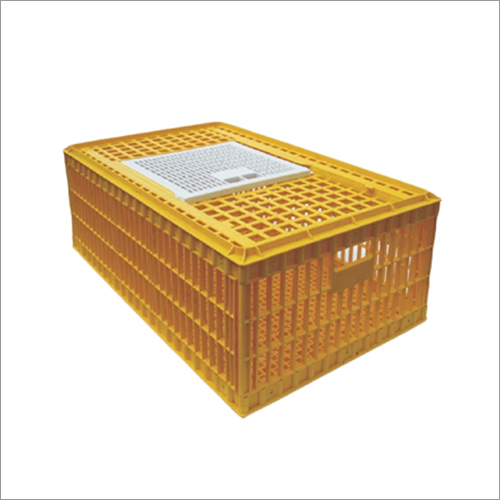 Poultry Bird Box