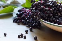Acai Berry Extract 25%