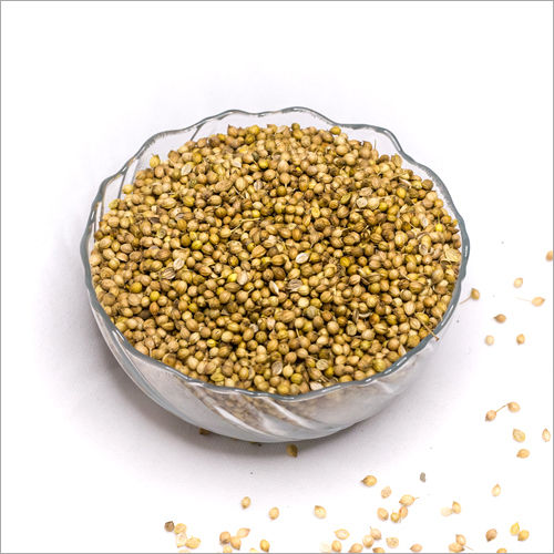 Dried Whole Coriander Seeds