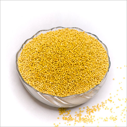 Yellow Mustard Seeds