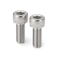 Screw (SNSLG series)