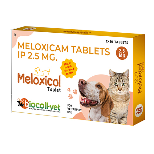 2.5 mg Meloxicam Tablet 