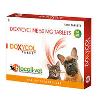 50mg Doxycycline Tablet