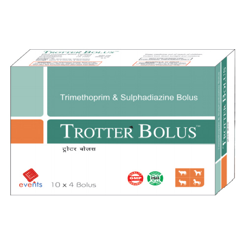 Trotter Bolus