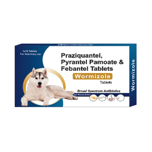 Wormizole Tablet
