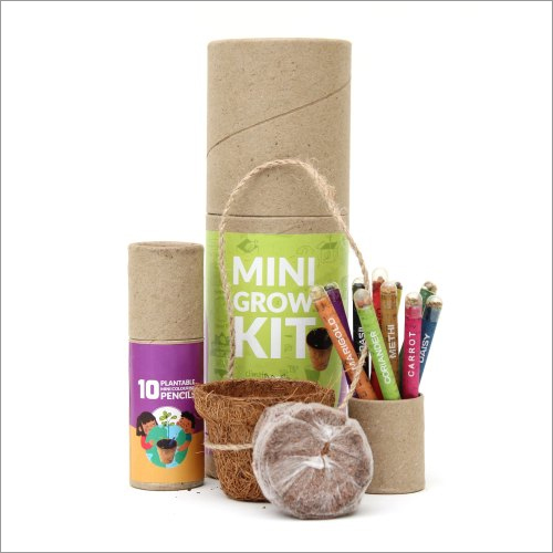 Plantable Mini Grow Kit And Colouring Pencil