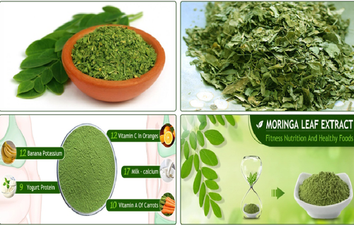 Dried Freeze-Dried Moringa