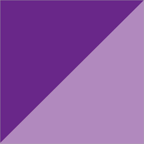 KeviActive Violet 5R Dyes
