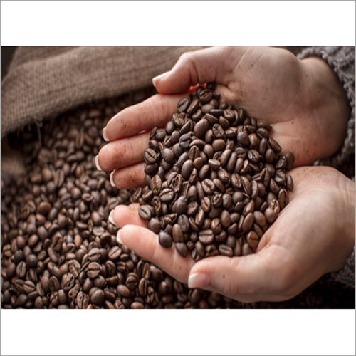 Coffee Beans By SUPER FORTUNE INTERNATIONAL CO., LTD
