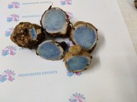 Black Turmeric Rhizome - Fresh Herbs, 100% Natural Ingredients | For Adults, Store In Cool Place, Dosage: 1 Rhizome Daily