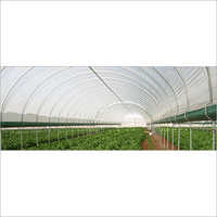 Plast Clear Masterbatch