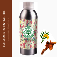 Calamus Oil - 100% Purity, 2-year Shelf Life, Ideal For Dry Storage - Versatile Essential Oil For Various Applications