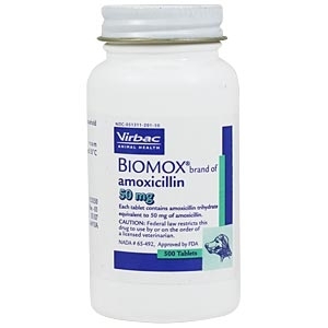 Amoxicillin Tablets 50mg