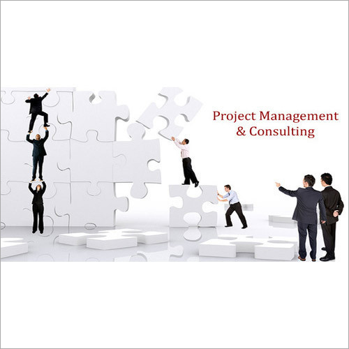 Project Management Consulting By TRYGVE ENGINEERING PVT. LTD.