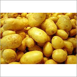 Fresh Potato By GAURINAND FARMERS PRODUCER COMPANY LTD.