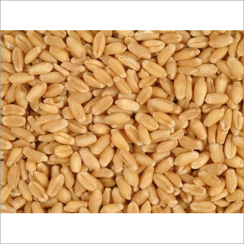 Wheat Seeds Grade: A