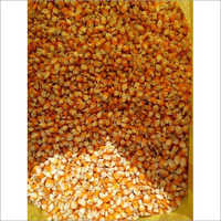Animal Feed Yellow Corn Seeds