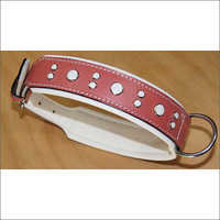 Fancy Dog Collar
