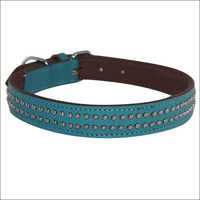 Decorative Sky Blue Dog Collar