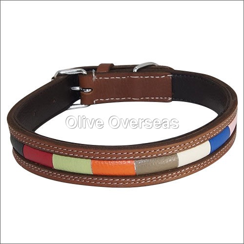Multicolor Leather Dog Collar
