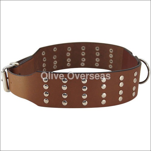 Rivetted Design Large Dog Collar