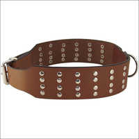 Rivetted Design Large Dog Collar