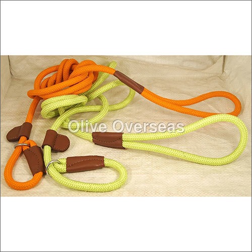Florescent Polyester Cord  Dog Leash