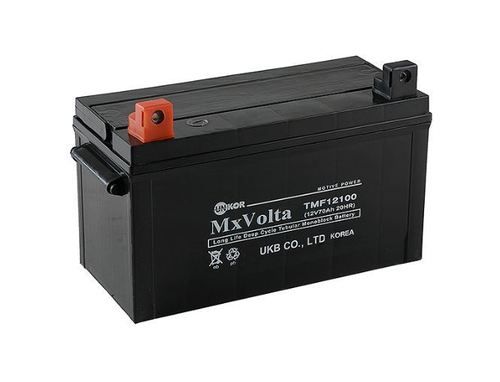 Tmf(tubular Maintenance Free) Series Battery