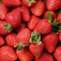 Fresh Strawberries
