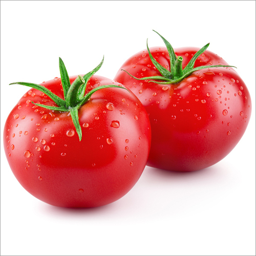 Fresh Tomatoes By MEDUSA EXIM